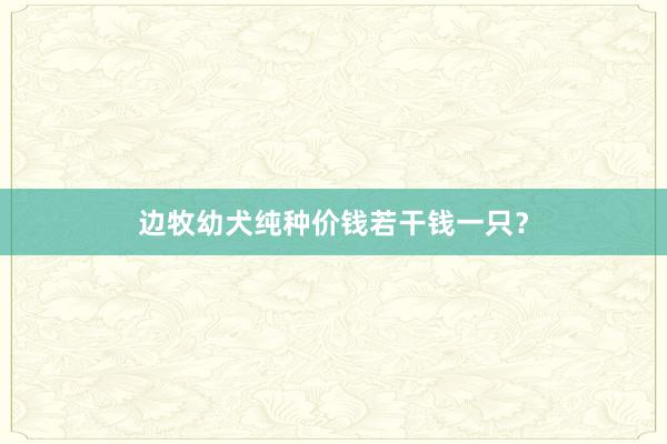 边牧幼犬纯种价钱若干钱一只？