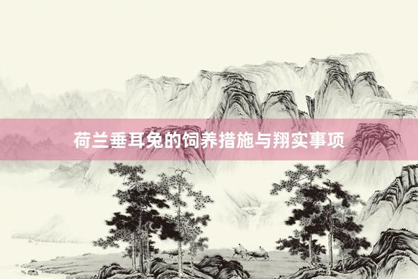 荷兰垂耳兔的饲养措施与翔实事项
